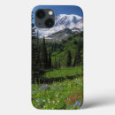 Recherche de wildflowers coques Nature