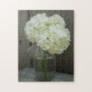 Recherche de floraison photographie Floral
