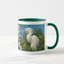 Recherche de plumes blanches tasses Faune