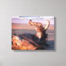 Zoek naar drijfhout decoratie Zee