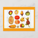 Recherche de oran cartes postales Jaune