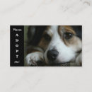 Recherche de refuge pour cartes visite Chien