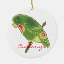 Zoek naar parakeet ornamenten Groen