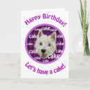 Zoek naar geruite schotse wollen stof kaarten Hond