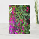 Recherche de fleurs violettes vœux cartes Rose