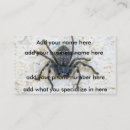 Recherche de arachnide cartes visite Insecte