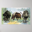 Recherche de millot posters Illustration