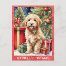 Zoek naar labradoodle briefkaarten Labradole