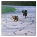 Recherche de vue de face carreaux Intégral