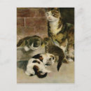 Zoek naar kittens uitnodigingen Tabby