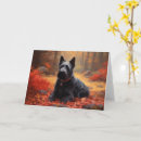 Zoek naar schotse terriers kaarten Huisdier