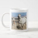 Recherche de bassin tasses Cheval sauvage