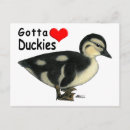 Zoek naar eendjes briefkaarten Baby