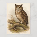 Recherche de hibou vintage cartes postales Illustration