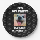 Zoek naar photo borden Hond