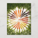 Recherche de carotte cartes postales Coloré