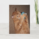 Recherche de orange chat tigré vœux cartes Animal