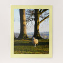 Zoek naar schaap puzzels Landbouw