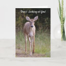 Recherche de deer anniversaire cartes Amusant