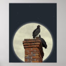 Zoek naar buizerd posters Gieren
