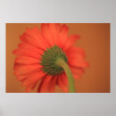 Recherche de gerbe posters Floral