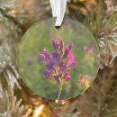 Recherche de arrière plan vert ornements Pour elle