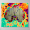 Recherche de orange orchid posters Floral
