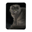 Recherche de cheveux magnets Mignon