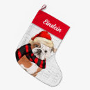 Zoek naar engelse kerstsokken Engels buldog