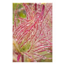 Recherche de prairies posters Parc national
