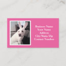 Recherche de lapin blanc cartes visite Chaise