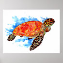 Recherche de marine creatures posters Tortue de mer