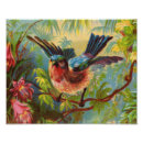 Recherche de oiseaux bleus posters Rose