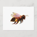 Recherche de apiculture cartes postales Abeille miel