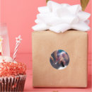 Recherche de lune chat autocollants Univers