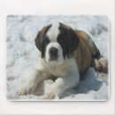 Zoek naar st bernard muismatten Dieren