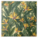 Zoek naar paradijsvogels tegels Natuur