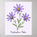 Zoek naar asters posters Paars