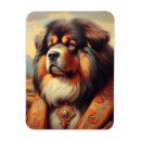 Recherche de tibétain magnets Tibet