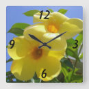 Recherche de papillon jaune horloges Photographie