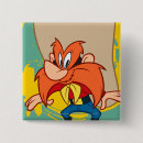 Recherche de coyote de badges Canard de daffy