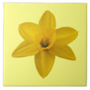 Zoek naar bloemontwerp tegels Bloemblaadjes