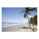Recherche de trinité posters Tobago