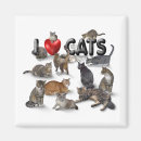 Recherche de felines magnets Maison