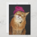 Recherche de dans le béret vœux cartes Chat