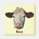 Recherche de vaches magnets Baryton