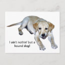 Recherche de labrador jaune cartes postales Extracteur