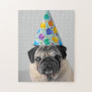 Recherche de pug puzzles Animal