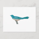 Zoek naar vogeltje briefkaarten Dier