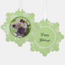 Recherche de spitz ornements Chiot